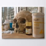 Damien Hirst, Beautiful Muruga Paranoia Intense Painting With Extra Inner Beauty, 2008