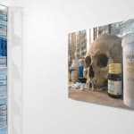 Damien Hirst, Beautiful Muruga Paranoia Intense Painting With Extra Inner Beauty, 2008