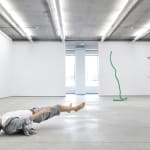 Tony Matelli, Rope, 2014