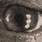 Chuck Close, Sunflower, 2007