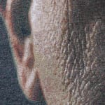 Chuck Close, Sunflower, 2007
