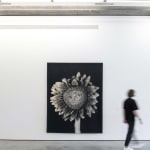 Chuck Close, Sunflower, 2007