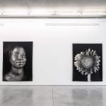 Chuck Close, Sunflower, 2007
