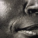 Chuck Close, Sunflower, 2007
