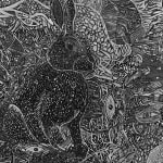 Longo Perrig, Untitled, 2015