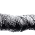 BLACK & WHITE, Lotus, 2003