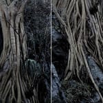 DIPTYCH, No. I, 2009