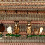 INDIVIDUALS, Takayama 2016
