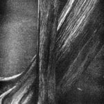 BLACK & WHITE, Lotus, 2003