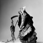 BLACK & WHITE, Lotus, 2003