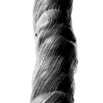 BLACK & WHITE, Lotus, 2003