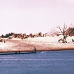 MALI 1977, Mosque Djenné, 1977