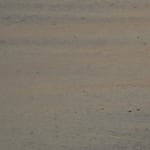 Analize Nicolini, 22° 59' 14.556' S 43° 13' 13.026' W 19/02 18:41:36 22° 59' 14.556' S 43° 13' 13.026' W...