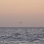 Analize Nicolini, 22° 59' 14.556' S 43° 13' 13.026' W 19/02 18:41:36 22° 59' 14.556' S 43° 13' 13.026' W...
