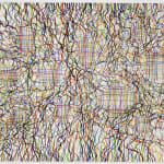 Caetano de Almeida, Fiapos, 2014