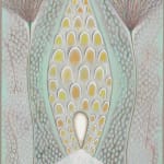 MARCY HERMANSADER, reunion