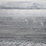 Clouded Light, 2024