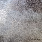 Overcast, 2022