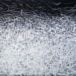 Clouded Light, 2024