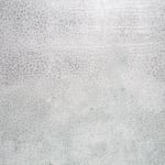 Clouded Light, 2024