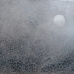 The Sea is not made of water, 2025