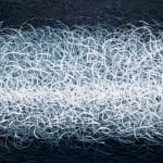 Shoal, 2025