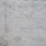 Clouded Light, 2024