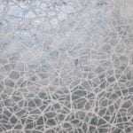 Frosted Air, 2025