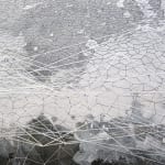 Overcast, 2022