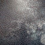 The Sea is not made of water, 2025