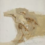 Ray Ching, Reischek’s Huia, 2022