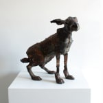 Hannah Kidd, Hare in the Night V, 2024