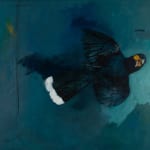 Ray Ching, Reischek’s Huia, 2022