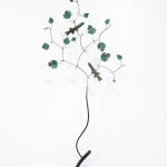 Bing Dawe, Under a Red Mantle - Ohau Mistletoe, Redfinned Bully and Mountain Beech, 2023
