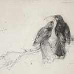 Ray Ching, Reischek’s Huia, 2022
