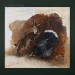 Ray Ching, Reischek’s Huia, 2022