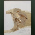 Ray Ching, Reischek’s Huia, 2022
