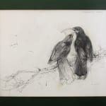 Ray Ching, Reischek’s Huia, 2022
