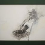 Ray Ching, Reischek’s Huia, 2022