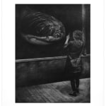 Fiona Garlick, Piwakawaka and the Pinecone , 2022