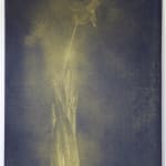 Nick Fox, Love’s Sigh 6 , 2012
