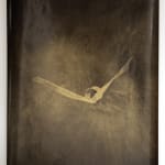 Nick Fox, Love’s Sigh 6 , 2012