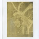 Sharon Leahy-Clark, Trappings, 2024
