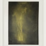 Nick Fox, Love’s Sigh 6 , 2012