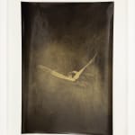 Nick Fox, Love’s Sigh 6 , 2012