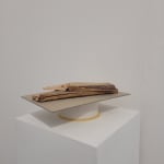 Hans-Peter Feldmann, Tarzan