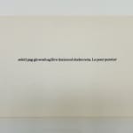 Robert Barry, Index cards (NonSense)