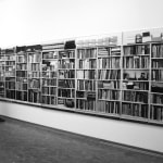 Hans-Peter Feldmann, Tarzan