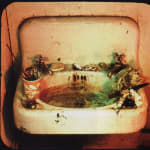Michael Snow, Sink, 1970