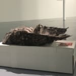 Michael Snow, Snow (De, A, Pour Thierry), janv. 2002-oct. 2007